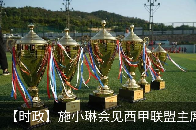 【时政】施小琳会见西甲联盟主席特巴斯